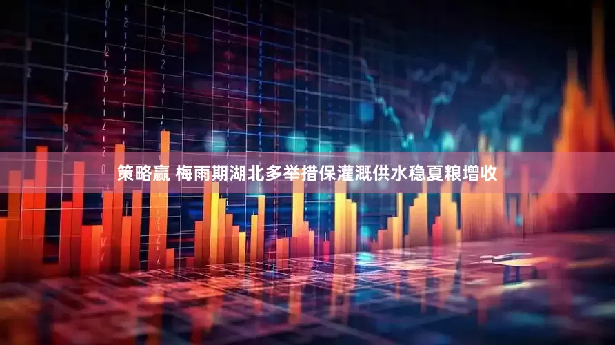 策略赢 梅雨期湖北多举措保灌溉供水稳夏粮增收